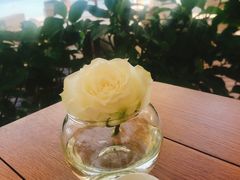 -查汶海滩