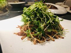 -渝半城经典川粤菜(重庆天地店)