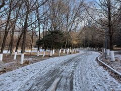 -长白岛森林公园