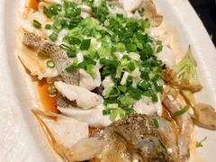 葱油淋鲜鲈鱼-粤·向群饭店(二沙岛店)