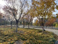 -西海子公园