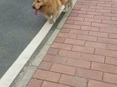 -火炉山森林公园