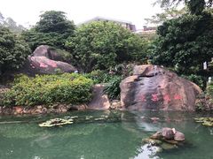 -江门古兜温泉小镇