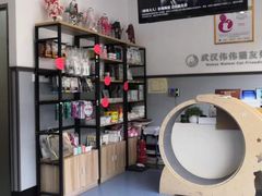 -伟伟宠物医院·瑞派猫友好医院·猫科(光谷店)