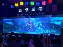 -泉城欧乐堡海洋极地世界