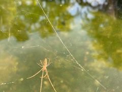 -鼓浪屿钢琴博物馆