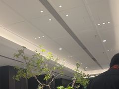 -金春禧(世茂国际广场店)