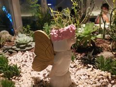 -春树下·树屋花房西餐厅(罍街AS1980店)