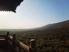 -灵谷景区