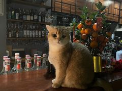 -咖法森林·咖啡  酒吧(天河店)