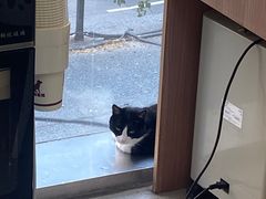 -爱派特动物医院·全科诊疗中心