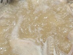 五指毛桃药膳汤底-鸽鸟轩(石岐店)