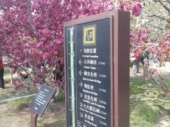 -元大都城垣遗址公园
