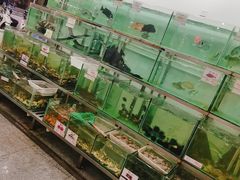 -浩海美食店(闸坡店)