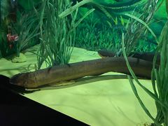 -上海海洋水族馆