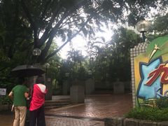 -九龙公园