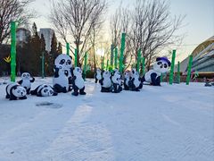 -沈阳奥体冰雪嘉年华