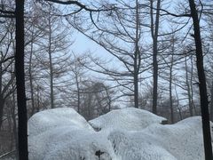 -崂山巨峰游览区