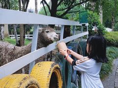 -宁波九龙湖开元度假村