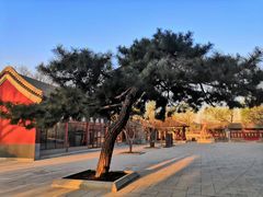 -北平图书馆旧址