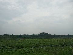 -白鹭湾湿地公园