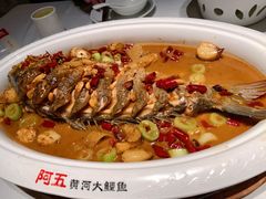 红烧黄河鲤鱼-阿五黄河大鲤鱼(纬三路店)