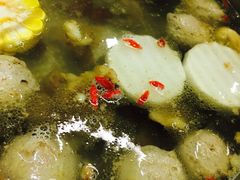 -八合里潮汕鲜牛肉火锅(深圳海岸城店)