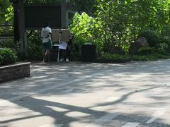 -晓港公园