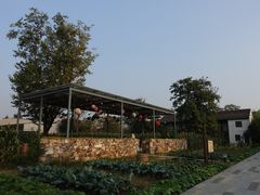 -田园东方蜜桃村的田野营地
