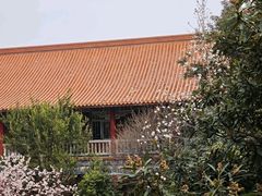 -开福禅寺