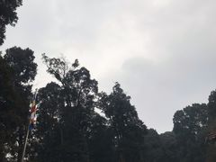 -都江堰普照寺