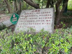 -上海佘山国家森林公园天马山园