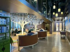 -中阿兰牛肉面(悦海新天地店)