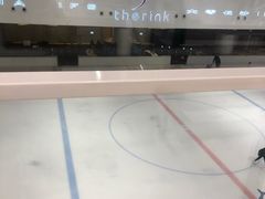 -TheRink大零溜冰场(IFS国金中心店)