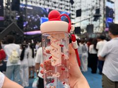 -成都欢乐谷
