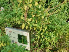 -广州神农草堂中医药博物馆