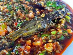 -稻香村鱼庄