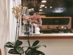 -琥珀咖啡 Ambercoffee