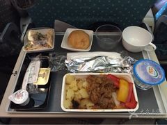 -新加坡航空公司(ION)