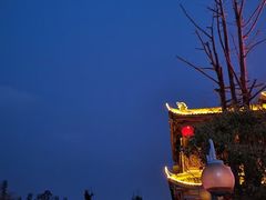 -胖大姐黄辣丁鱼庄(新津店)