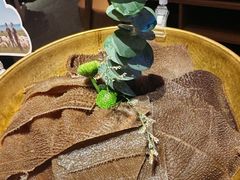 -巴奴毛肚火锅(京西大悦城店)