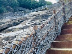 -广州白江湖森林公园