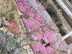 -狐尾山公园