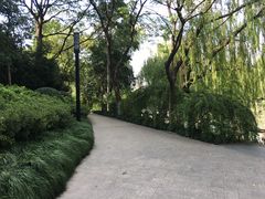 -运河游船(武林门码头)