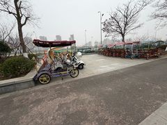 -江滩湿地公园