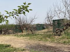 -亲兄弟真人CS团建拓展基地