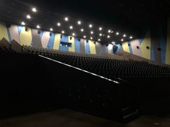 -天幕新彩云国际影城(激光巨幕店)