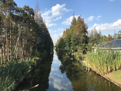 -上海长兴岛郊野公园