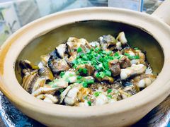 白鳝黄鳝双拼-红星光发煲仔饭(文海店)