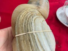 -大湾区中央湿地公园-十九涌